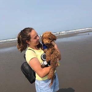 Meet your Posher, Sydney